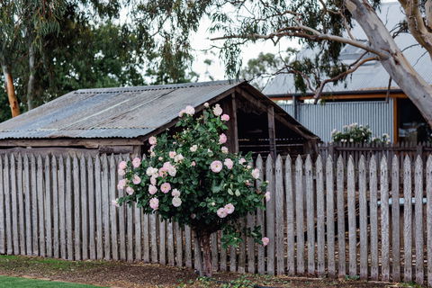 Penny's Hill Winery - Accommodation Port Hedland 2