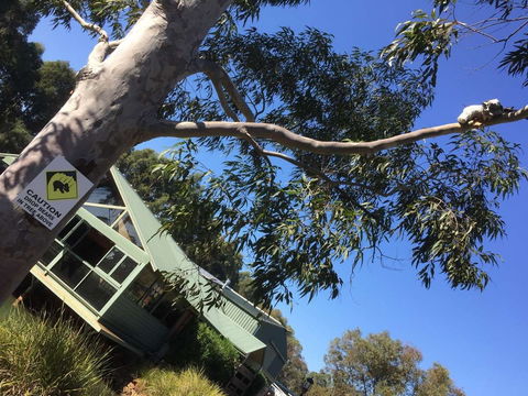 The Grove Vineyard Cafe - Accommodation Port Hedland 0