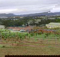 Villa d Esta Vineyard - Accommodation Port Hedland