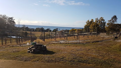 Overtime Vineyard - Accommodation Port Hedland 0