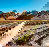 Synchronicity Farm - Accommodation Port Hedland