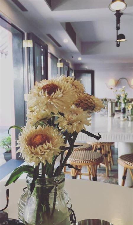 Saleem Indian Restaurant - Accommodation Port Hedland 8