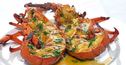Chefs Of Tandoori - Accommodation Port Hedland 27
