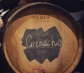 Fat Panda - Accommodation Port Hedland 6