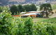 Home Hill Winery Restaurant - thumb 12