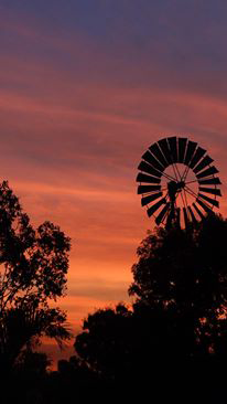 Emerald Springs Roadhouse - Accommodation Port Hedland 4