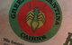 Green Ant Mexican Cantina - thumb 3