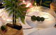 The Vinyard Wine Bar & Restaurant - thumb 1