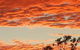 Territory Manor Mataranka - thumb 1