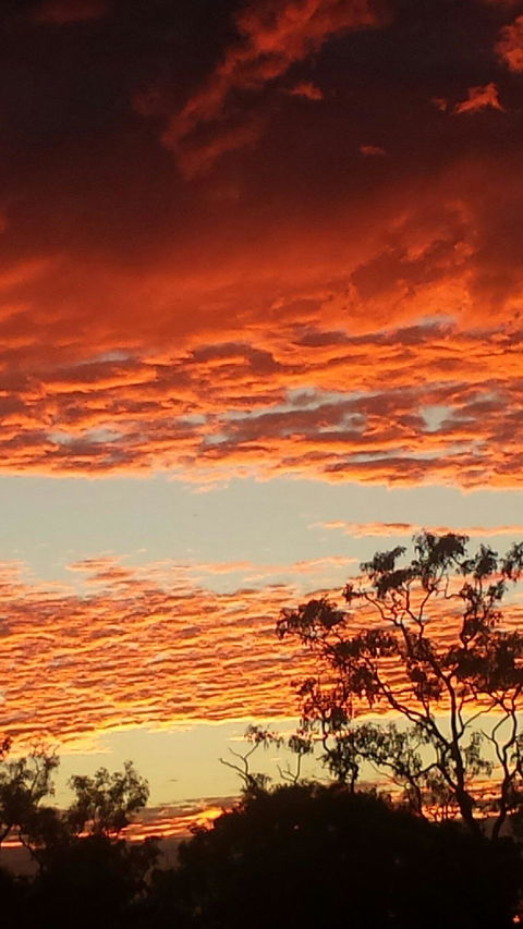 Territory Manor Mataranka - Accommodation Port Hedland 2