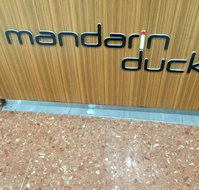 Mandarin Duck - Accommodation Port Hedland