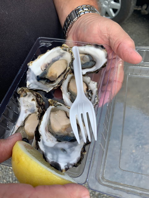 DOO-Lishus - Accommodation Port Hedland 10