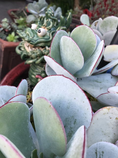 Junction Motel And Function Room - Accommodation Port Hedland 1