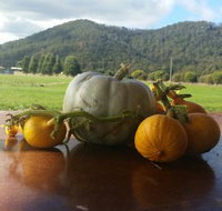Mount Gnomon Farm - Accommodation Port Hedland