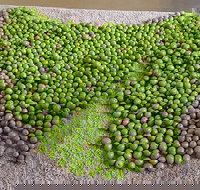 Wattle Hill Olives - Accommodation Port Hedland