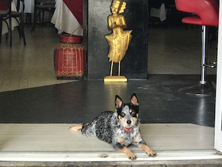 Gatakers Landing Restaurant - Accommodation Port Hedland 4