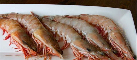 Palate - Accommodation Port Hedland 22