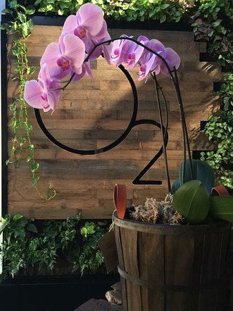 O2 Cafe - Accommodation Port Hedland 0