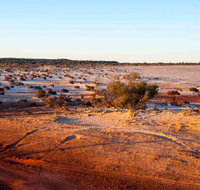 Mozie's Truckstop  Diner - Accommodation Port Hedland