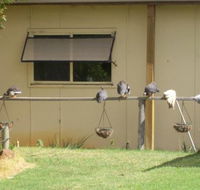 Sandy Grove - Accommodation Port Hedland