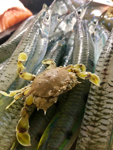 Innisfail Seafood - Accommodation Port Hedland 4
