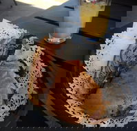 Clove Licensed Restaurant - Accommodation Port Hedland