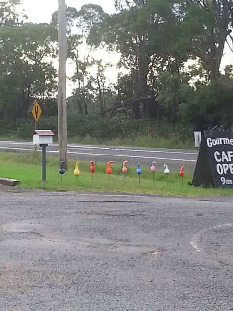 Danish Flower Art Gourmet Cafe - Accommodation Port Hedland 1