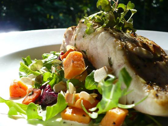 Cape Tribulation QLD Accommodation Port Hedland