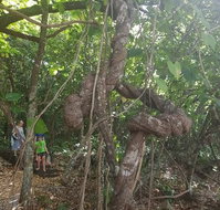 Foxy's Bar - Accommodation Port Hedland