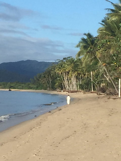 Newell Beach Takeaway And Cafe - Accommodation Port Hedland 2