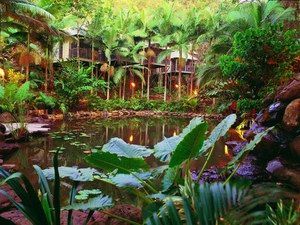 Daintree Eco Lodge & Spa - Accommodation Port Hedland 0