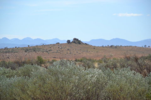 Windana Cottages - Accommodation Port Hedland 30