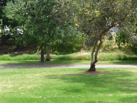 Victor Harbor Holiday Park - Accommodation Port Hedland 24