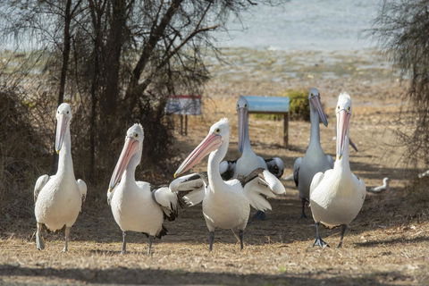 Mercure Kangaroo Island Lodge - Accommodation Port Hedland 15