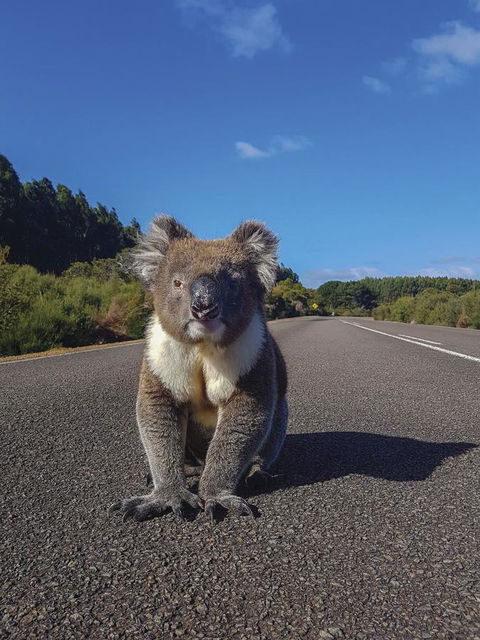 Kangaroo Island Seafront - Accommodation Port Hedland 14