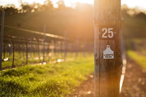 The Louise - Accommodation Port Hedland 44