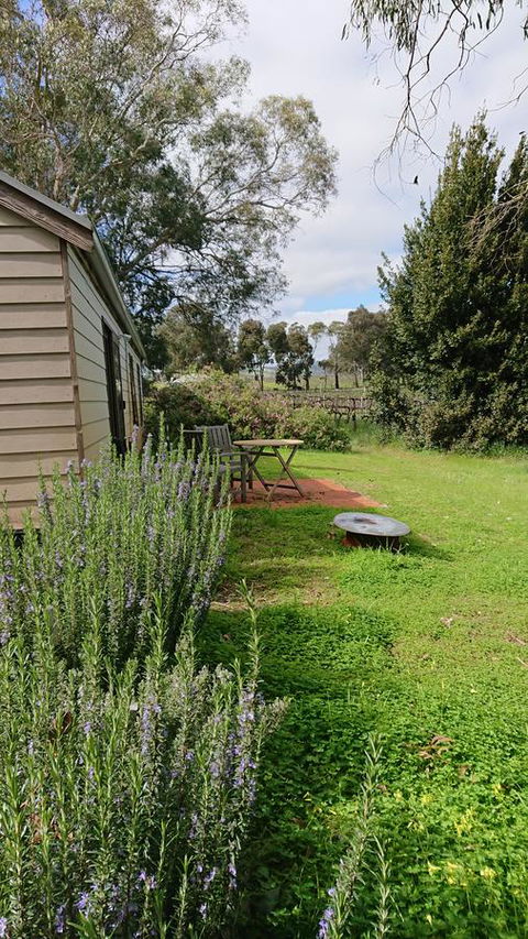 Lost In The Vines - Accommodation Port Hedland 22