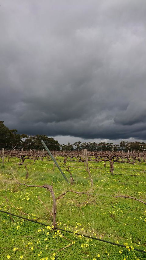 Lost In The Vines - Accommodation Port Hedland 27