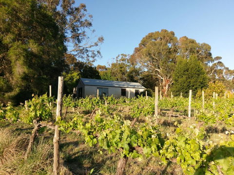 Lost In The Vines - Accommodation Port Hedland 25