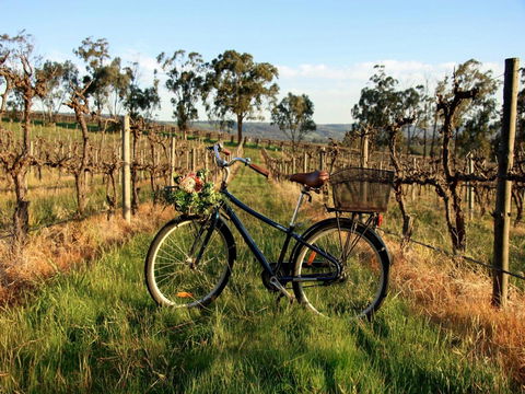 Lost In The Vines - Accommodation Port Hedland 17