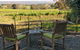 Lost In The Vines - thumb 23