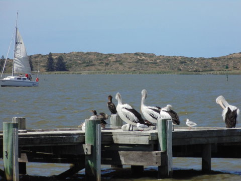 Baronet B & B - Accommodation Port Hedland 20