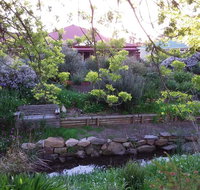 Frog Song at Willunga - Accommodation Port Hedland