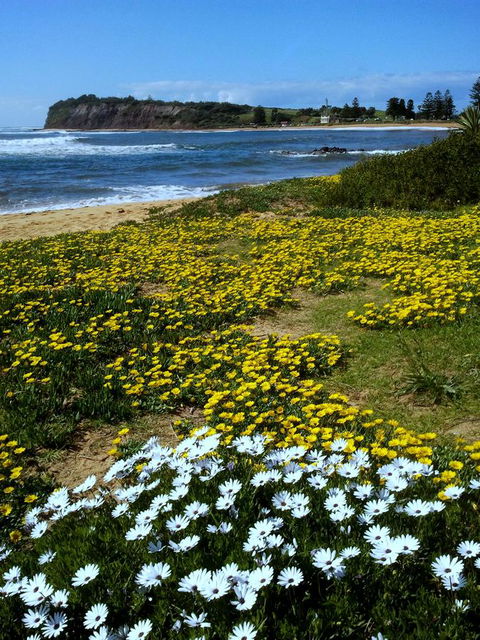 Serenity On Narrabeen Beach - 1Bdr Beachside Retreat - Accommodation Port Hedland 10