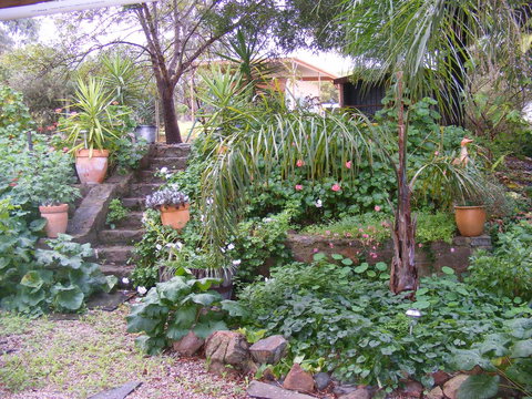 Trevalia Accommodation - Accommodation Port Hedland 12