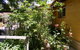 Trevalia Accommodation - thumb 7