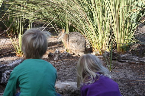 Kangaroo Island Wilderness Retreat - Accommodation Port Hedland 30