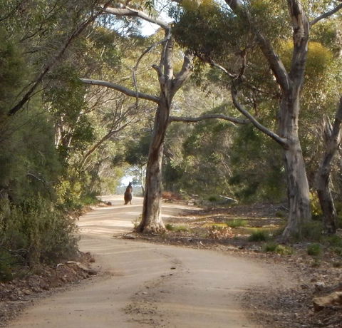 Kangaroo Island Wilderness Retreat - Accommodation Port Hedland 22