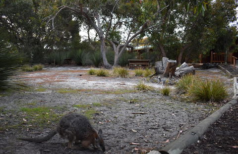 Kangaroo Island Wilderness Retreat - Accommodation Port Hedland 1