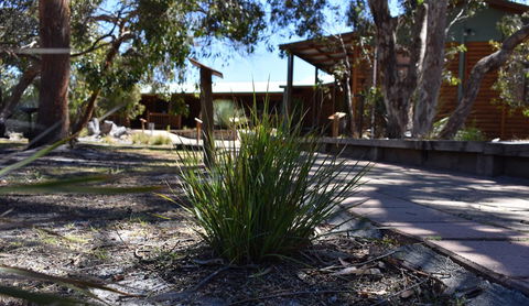 Kangaroo Island Wilderness Retreat - Accommodation Port Hedland 21
